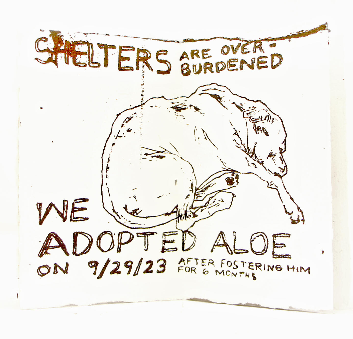 &quot;We Adopted Aloe&quot;, 2023, Ink on paper, 4.3&quot; × 6.3&quot;.